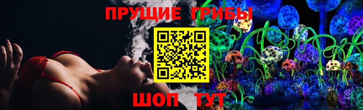 Краснокаменск  Псилоцибиновые грибы Psilocybine cubensis  Вход с VPN  Галлюциногенные грибы GOLDEN TEACHER 